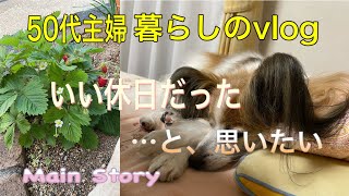 Main story【50代主婦】【暮らしのvlog】休日の過ごし方/家事/犬との暮らし／愛犬