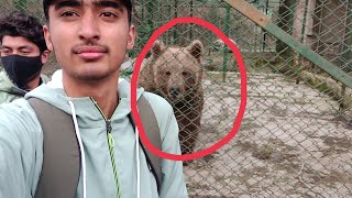 Exploring dachigham national park 🐻