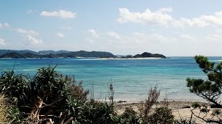 Zamami Island | Japan Travel Guide