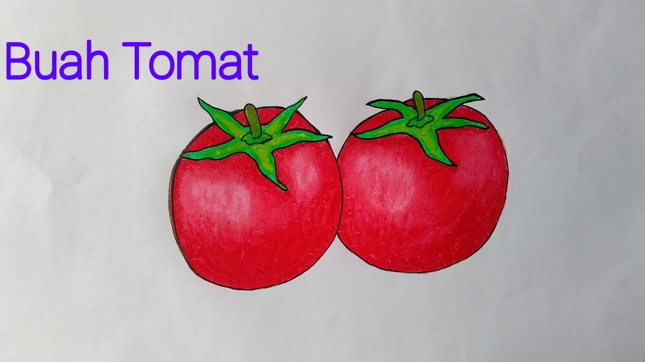 18+ Gambar Mewarnai Buah Tomat - Dunia Mewarnai