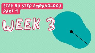 Step by Step Embryology: Primitive Streak