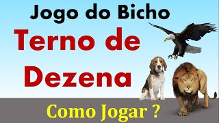 TERNO DE DEZENA - COMO JOGAR NO TERNO DE DEZENA?  JOGO DO BICHO