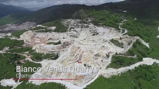 FHL Bianco Venus quarry