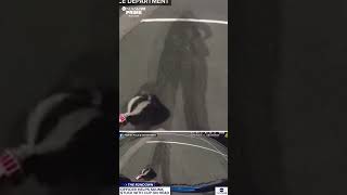 A police officer helped out a skunk with a paper cup stuck on its head