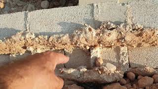 Boundary Wall foundation Collapse!