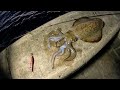 How To Catch Port Phillip Bay Squid Landbased + Cook Up