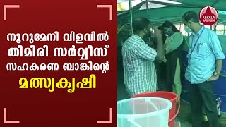 Thimiri Service Co-operative Bank, harvested One and a half quintals of fish | KeralaKaumudi