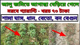 আলুতে- সর্ব ঘাসমারা ।শামা ঘাস, ধান, বেতো সাক, বোন বেগুন- বিভিন্ন আগাছা - নিউ হারবিসাইড । Adama Emek.