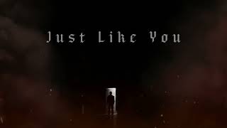 NF - Just like you [Audio Edit]