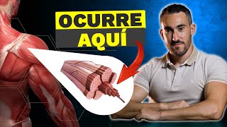 4 pasos esenciales para alcanzar la HIPERTROFIA MUSCULAR