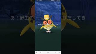 新年初✨色違いｷﾀ━(ﾟ∀ﾟ)━!【ポケモンGO】#Shorts　#Pokémon　#ポケモン