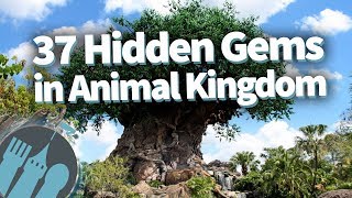 37 Hidden Gems in Disney's Animal Kingdom!