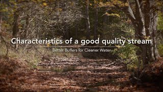 Characteristics of a good quality stream