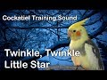 Cockatiel training sound Twinkle Twinkle Little Star