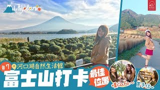 《Like Japan 山梨Plan》#7 富士山打卡最佳位置 河口湖自然生活館