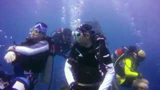 Thailand : The best wreck dive (HTMS CHANG)