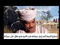 نعناع الجنينه الأصلية سيد الركابى