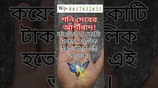 এত বড়ো মৎস্য চিহ্ন কয়েকশো কোটি টাকার মালিক বানায় ! #হস্তরেখা #palmistry  #hastarekha