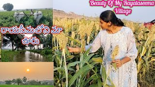 Rayalaseema Village |రాయలసీమ పల్లె అందాలు | Greatness Of Rayalaseema I Beauty Of Rayalaseema Village