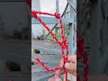 beautiful and unique knot for anchoring adventure climbing knottying