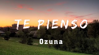 Ozuna - Te Pienso (Letra/lyric)