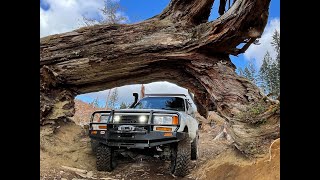 I took my Land Cruiser through Cedar Tree Trail \u0026 had to use my winch!