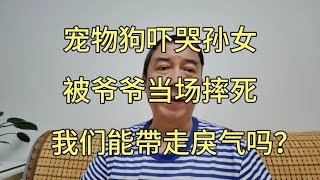 宠物狗吓哭孙女，被爷爷摔死。用暴戾手段过度保护自己的权利悲哀