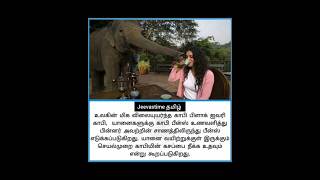 உலகின் மிக விலையுயர்ந்த காபி #jeevastimeதமிழ் #tamifacts #tamil #trendingshorts #facts #trend