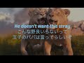 和訳 i always wanted a brother from mufasa the lion king 日本語歌詞「ライオン・キング ムファサ」より”ブラザー 君みたいな兄弟”