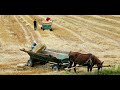 ВЫБОР МЕСТА ПОД ПАСЕКУ. ВЫБРАЛ ВОЗЛЕ...choosing a place for an apiary