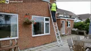 Youngman Telescopic Ladder