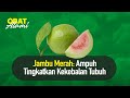 Cara Alami Tingkatkan Kekebalan Tubuh | Nutrisi Alami