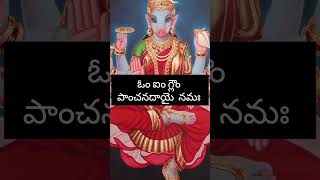 ఈ మంత్రాన్ని ప్రతిరోజూ బ్రహ్మముహూర్తం లో చదవండి.. #varahimantra #vaarahimantra