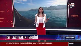 İstilacı balık tehdidi