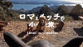 【浜名湖】愛犬があなたの旅をもっと特別なものにしてくれる！姫街道犬連れ旅【尉ヶ峰】