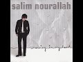 Salim Nourallah - Days Disappear