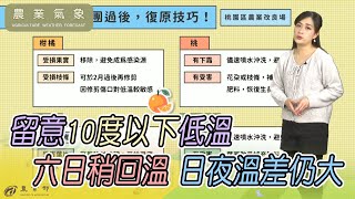 農業氣象113/01/12 週五晨乾冷空氣影響，六日稍回溫，日夜溫差仍大