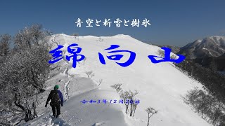 深雪と樹氷の綿向山　令和3年12月20日　＃樹氷　＃綿向山