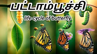 சுவாரஸ்யமான பட்டாம்பூச்சியின் வாழ்க்கை சுழற்சி/life cycle of butterfly