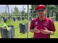 FAMA DZA 2021 (FAMA PAHANG) :-Pusat Rujukan Berteknologi Tinggi @FAMA Raub