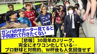 【悲報】30周年のJリーグ、完全にオワコン化している…プロ野球と対照的、W杯後も人気回復せず