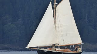 Boat Punx- Single Handed Sailing in the San Juan Islands...with friends!