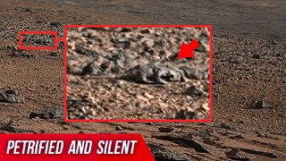 Red Planet, Red Canvas: NASA's Curiosity Mars Rover sent new images in 4K UHD