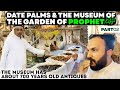 Madina Life MUSEUM & Khajoor In The Garden Of The Prophet Muhammad PBUH Part 2 صدقات نبوية