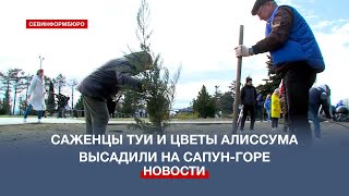 В Севастополе к акции «Сад памяти» присоединился коллектив коммерческой компании