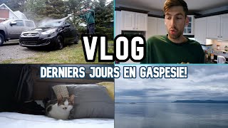 VLOG : DERNIERS JOURS EN GASPÉSIE!