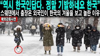 [해외감동사연] “한국인들은 폭설에도 눈하나 깜짝안하던데?” 한국에서 함박눈을 맞던 스웨덴외국인이 입틀막하며 넋이 나간 이유