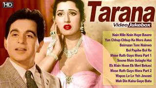 Dilip Kumar, Madhubala - Super Hit Vintage Video Songs Jukebox  - Tarana - 1951 - HD