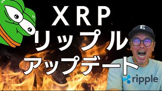 XRP リップル アップデート!! ドル建て・円建て・ビットコイン建て📈分析動画