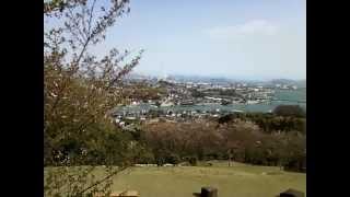 倉敷市玉島 円通寺公園・桜 (Entsuji Cherry Blossom)